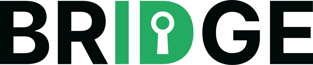 Logo BRIDGE project